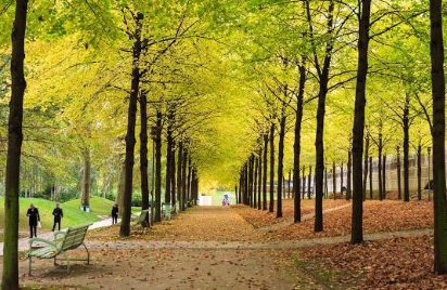 bercy_parc_de